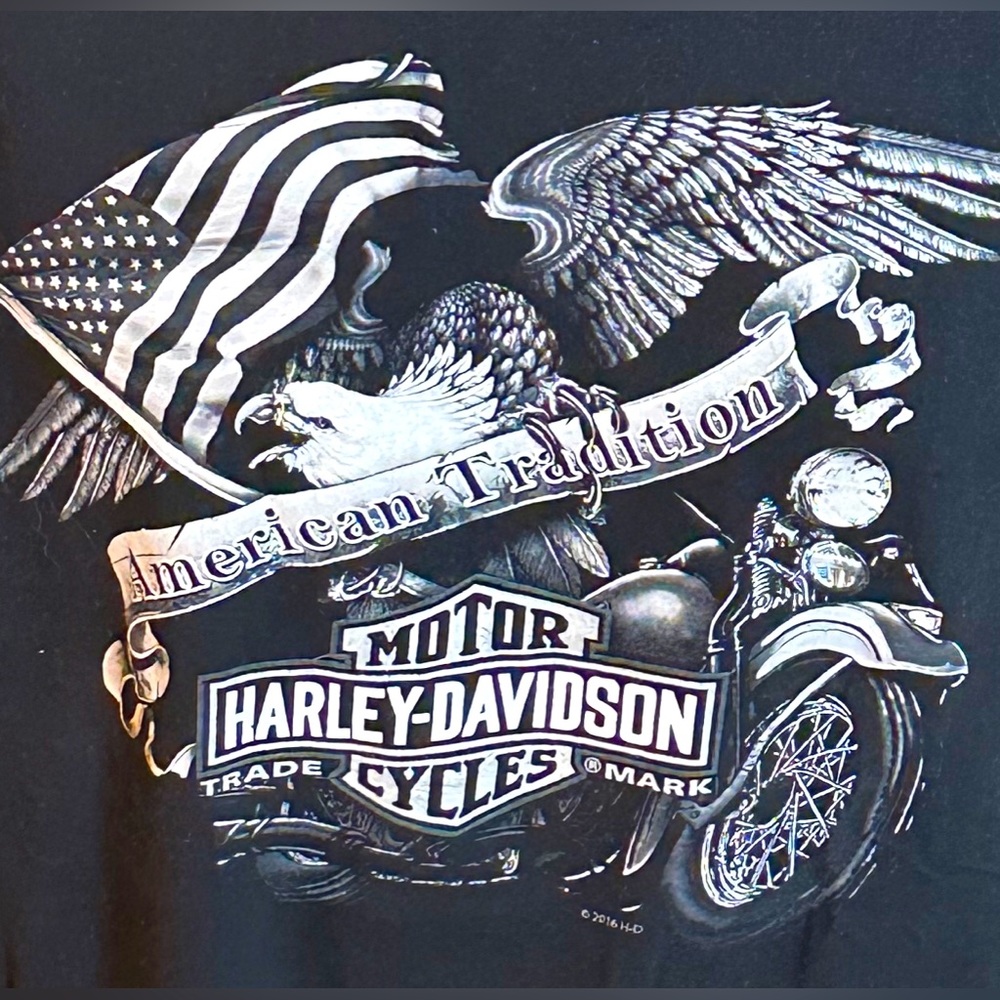 Harley Davidson Mens T-shirt